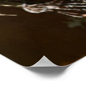 palmschors poster (Hoek)