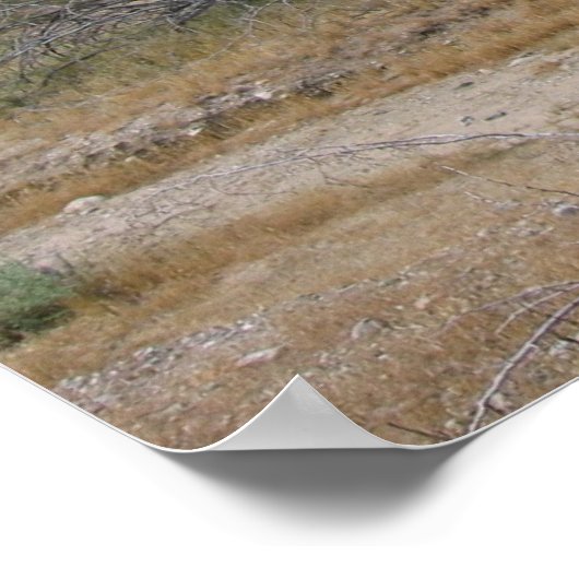 PalmSprings (26) Poster (Hoek)