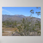 PalmSprings (26) Poster (Voorkant)