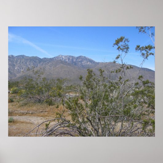 PalmSprings (26) Poster (Voorkant)