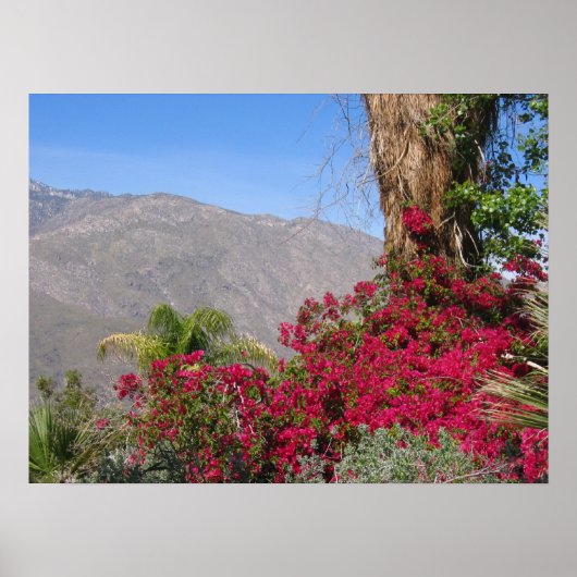 PalmSprings (4) Poster (Voorkant)