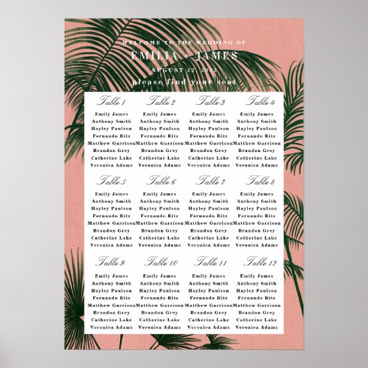 Palmspruitdiagram Poster (Voorkant)