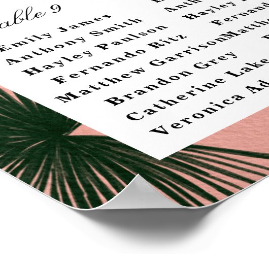 Palmspruitdiagram Poster (Hoek)