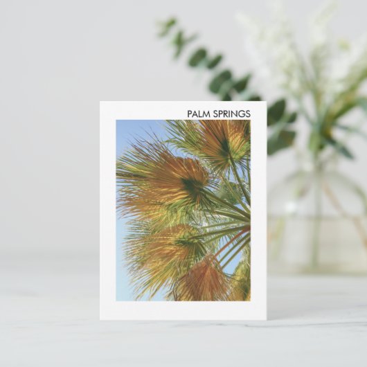 Palmspruiten palmbomen en palmhulzen briefkaart (Staand voorkant)