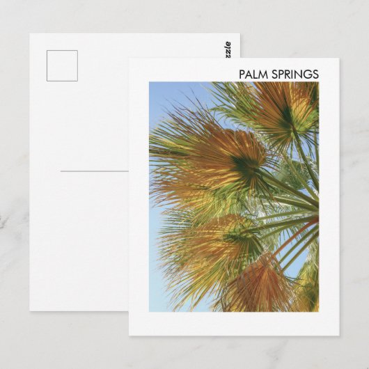 Palmspruiten palmbomen en palmhulzen briefkaart (Voorkant / Achterkant)