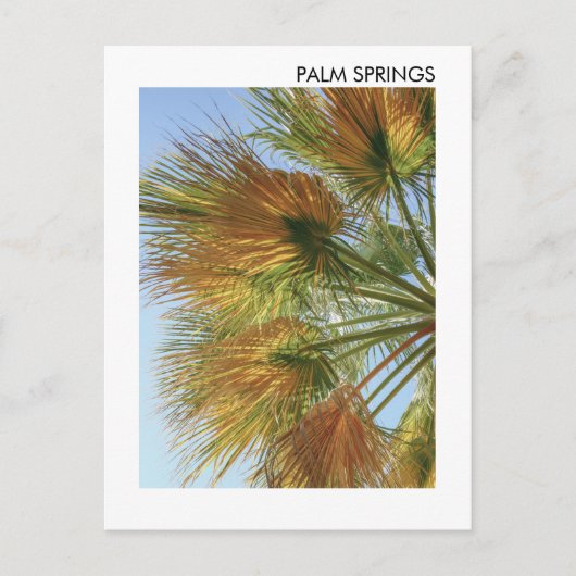 Palmspruiten palmbomen en palmhulzen briefkaart (Voorkant)