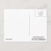 Palmspuitkaarten Briefkaart (Achterkant)