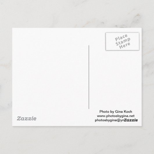 Palmspuitkaarten Briefkaart (Achterkant)