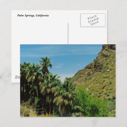 Palmspuitscène Briefkaart (Voorkant / Achterkant)