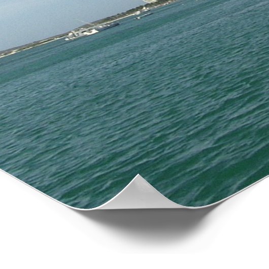 Palmstrand, Aruba Poster (Hoek)