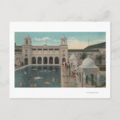 Palmstrand, FL - Uitzicht buitenshuis in de pool e Briefkaart (Voorkant)