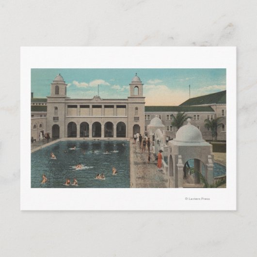 Palmstrand, FL - Uitzicht buitenshuis in de pool e Briefkaart (Voorkant)