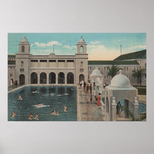 Palmstrand, FL - Uitzicht buitenshuis in de pool e Poster (Voorkant)