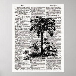 Palmstructuur Woordenboekkunst Poster
