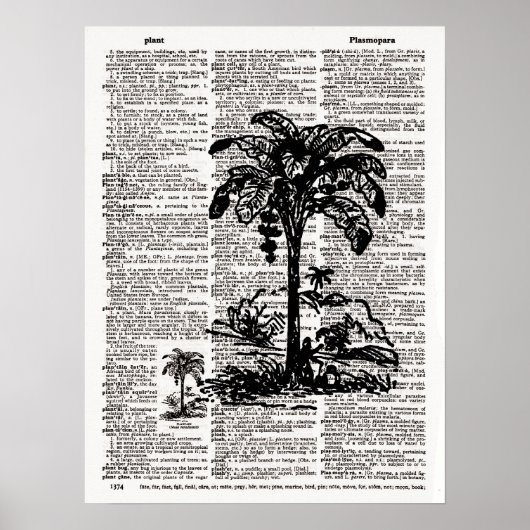 Palmstructuur Woordenboekkunst Poster (Voorkant)