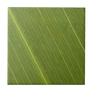 Palmstructuurblad Tegeltje