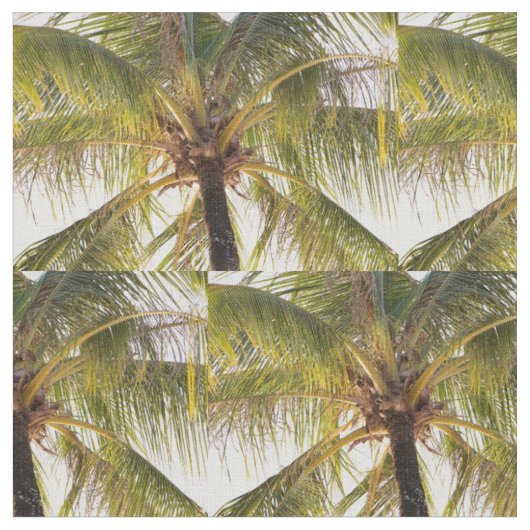 Palmstructuurstructuur Stof (Close Up)