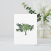 palmtekening VII Briefkaart (Staand voorkant)