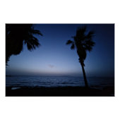 Palmtree night  perfect poster (Voorkant)