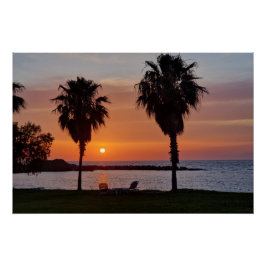 Palmtree sunset perfect poster
