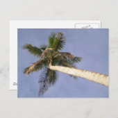 PalmUitzicht Briefkaart (Voorkant / Achterkant)