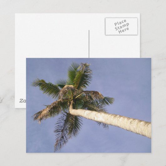 PalmUitzicht Briefkaart (Voorkant / Achterkant)