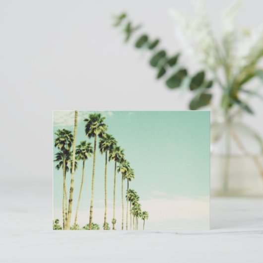 Palmveren Briefkaart (Staand voorkant)