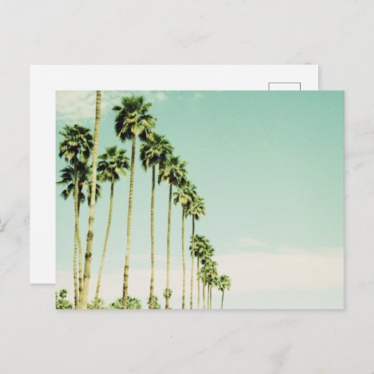 Palmveren Briefkaart (Voorkant / Achterkant)