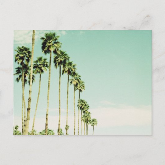 Palmveren Briefkaart (Voorkant)