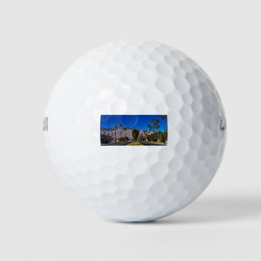 Palmveren Golfballen (Voorkant)