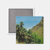 Palmveren Magneet (Voorkant / Achterkant)