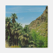 Palmveren Magneet (Voorkant)