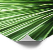 Palmvoorkant, dichtbij poster (Hoek)