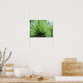 Palmvoorkant, dichtbij poster (Keuken)