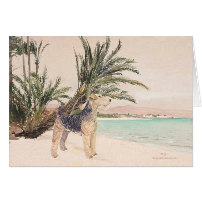 Palmy Beach (Voorkant Horizontaal)