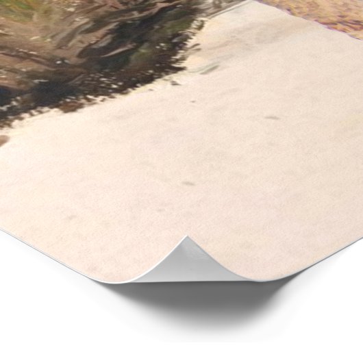 Palmy Beach Poster (Hoek)