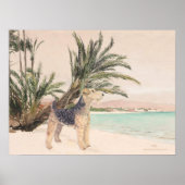 Palmy Beach Poster (Voorkant)