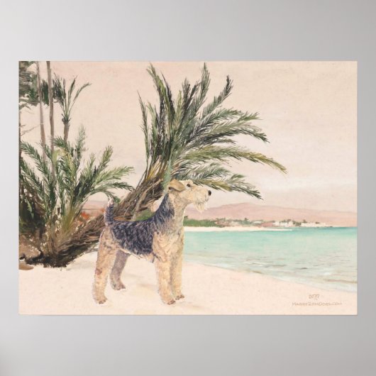 Palmy Beach Poster (Voorkant)