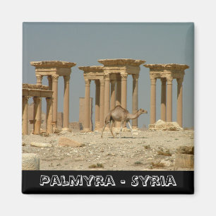 Palmyra, Syrische schatten nr. 3 (Fridge Magnet) Magneet