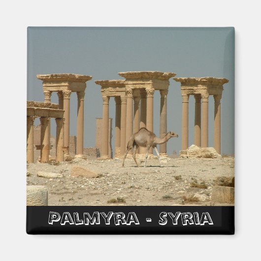 Palmyra, Syrische schatten nr. 3 (Fridge Magnet) Magneet (Voorkant)