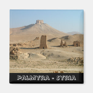 Palmyra, verloren Syrische schatten (Fridge Magnet