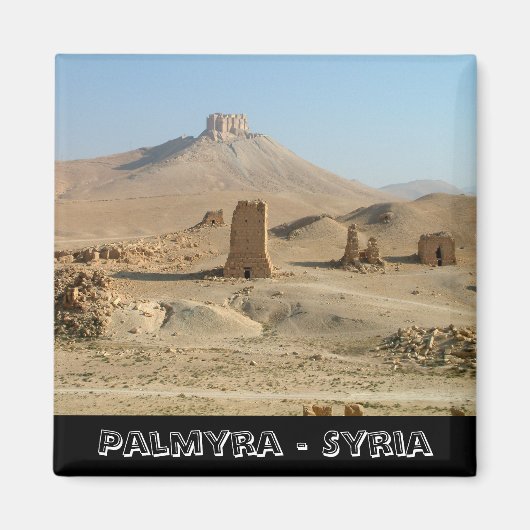 Palmyra, Verloren Syrische schatten (Fridge Magnet (Voorkant)