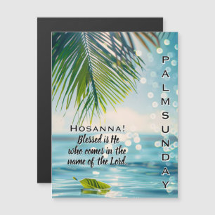 Palmzondag Hosanna Schriftuur