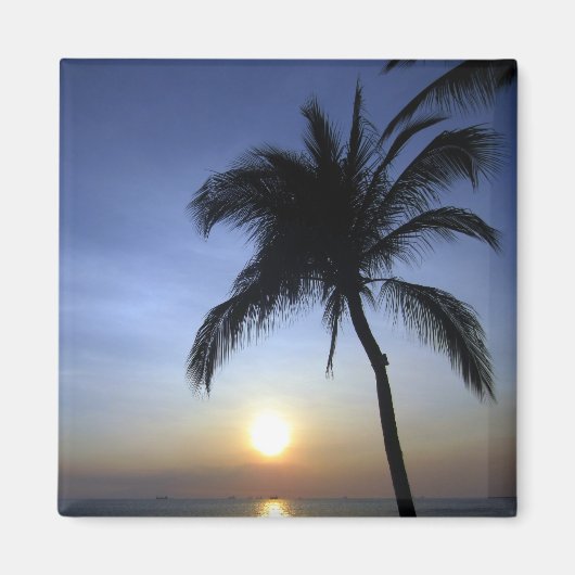 palmzonsondergang magneet (Voorkant)