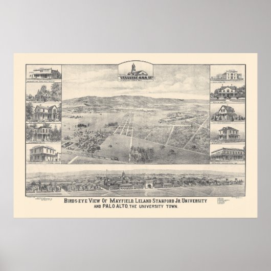 Palo Alto, CA. Panoramische kaart 1888 (1658A) Poster (Voorkant)