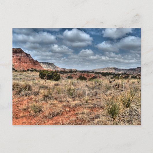 Palo Duro Canyon, Texas Briefkaart (Voorkant)