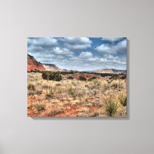Palo Duro Canyon, Texas Canvas Afdruk (Voorkant)