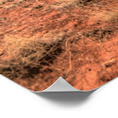 Palo Duro Canyon, Texas Poster (Hoek)