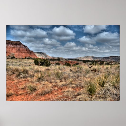 Palo Duro Canyon, Texas Poster (Voorkant)