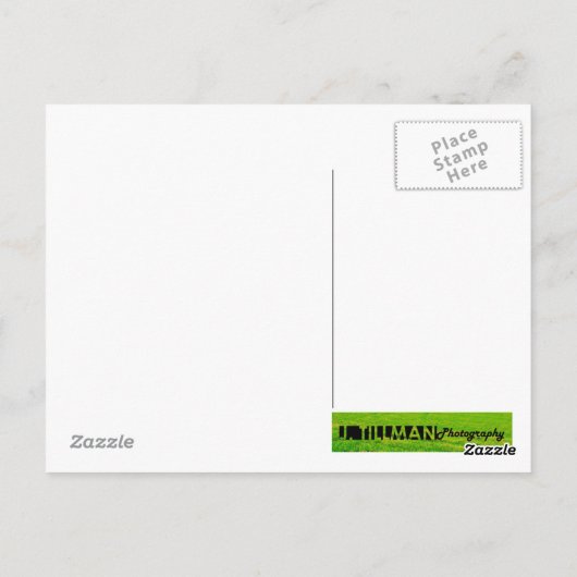 Palo Duro Canyon, TX Briefkaart (Achterkant)